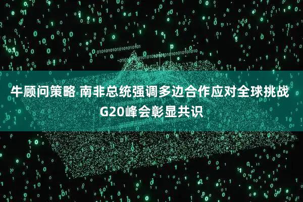 牛顾问策略 南非总统强调多边合作应对全球挑战 G20峰会彰显共识