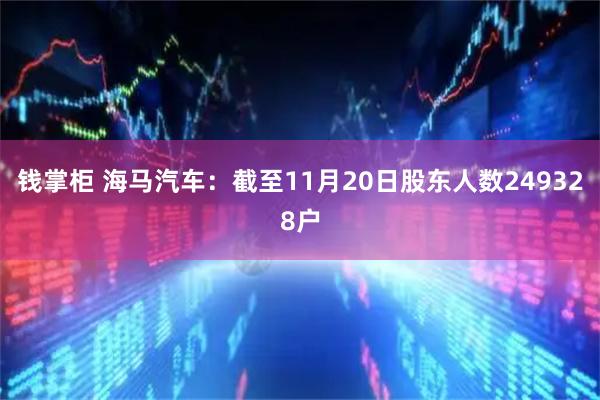 钱掌柜 海马汽车：截至11月20日股东人数249328户