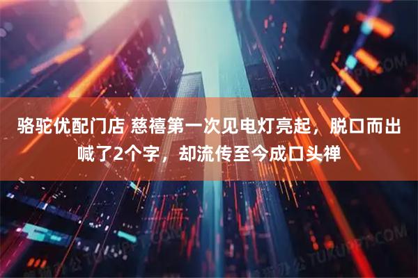 骆驼优配门店 慈禧第一次见电灯亮起，脱口而出喊了2个字，却流传至今成口头禅