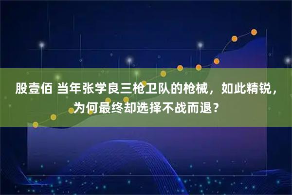 股壹佰 当年张学良三枪卫队的枪械，如此精锐，为何最终却选择不战而退？