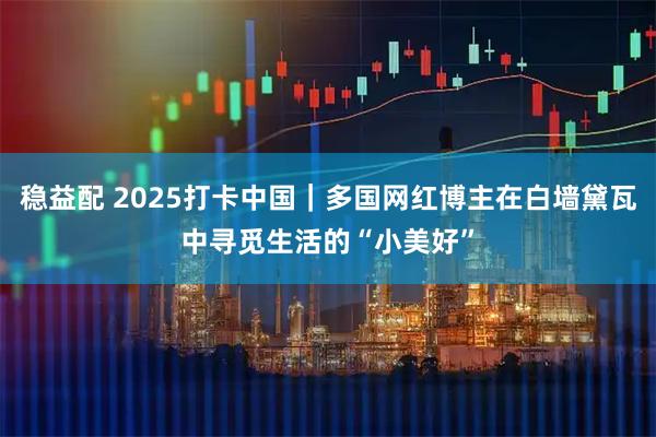稳益配 2025打卡中国｜多国网红博主在白墙黛瓦中寻觅生活的“小美好”