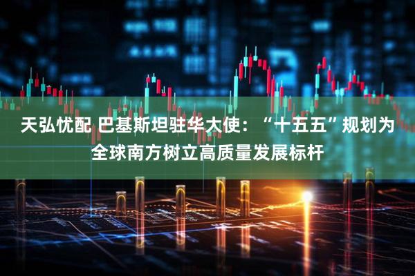 天弘忧配 巴基斯坦驻华大使：“十五五”规划为全球南方树立高质量发展标杆