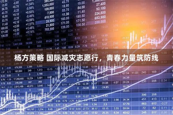 杨方策略 国际减灾志愿行，青春力量筑防线