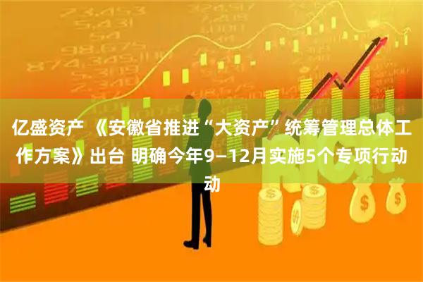 亿盛资产 《安徽省推进“大资产”统筹管理总体工作方案》出台 明确今年9—12月实施5个专项行动