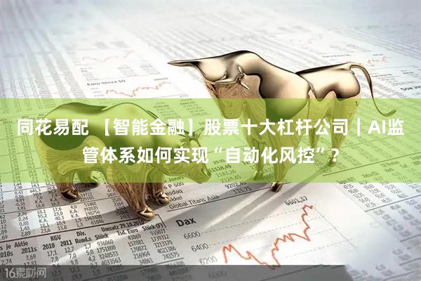 同花易配 【智能金融】股票十大杠杆公司｜AI监管体系如何实现“自动化风控”？