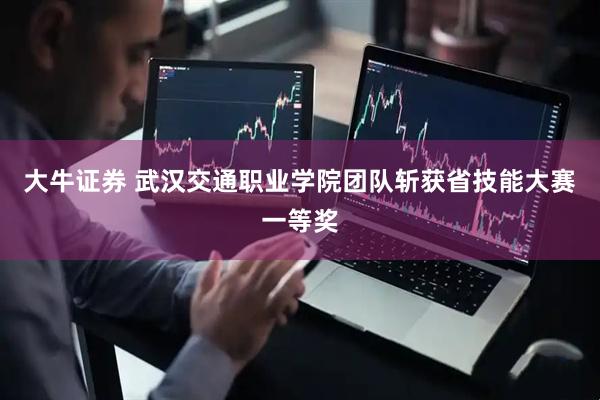大牛证券 武汉交通职业学院团队斩获省技能大赛一等奖
