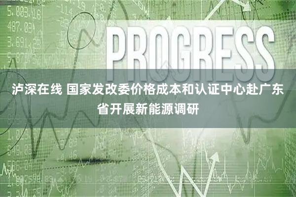 泸深在线 国家发改委价格成本和认证中心赴广东省开展新能源调研